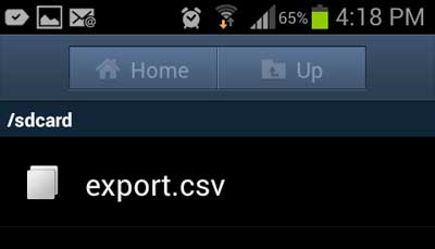 iPhone CSV Export